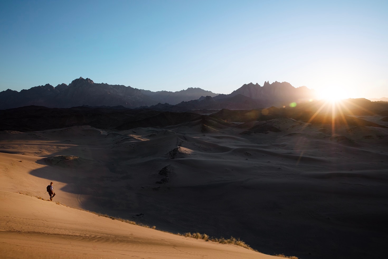 Exploring the World’s Wildlife: A Traveler’s Guide